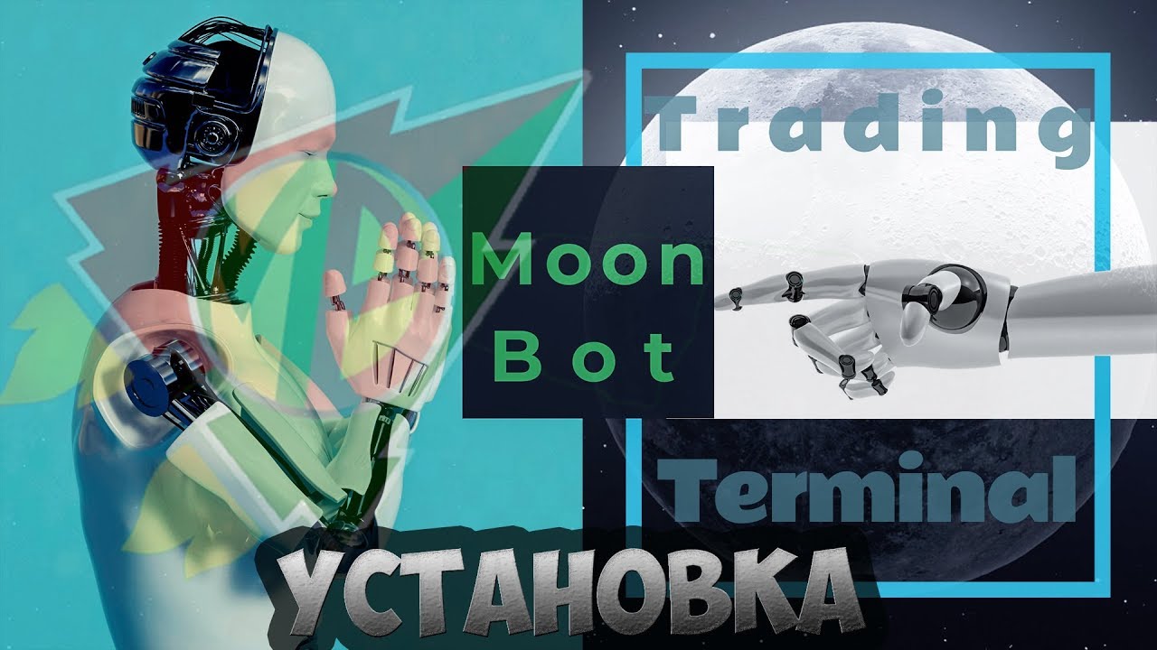 Установка Moonbot на ПК