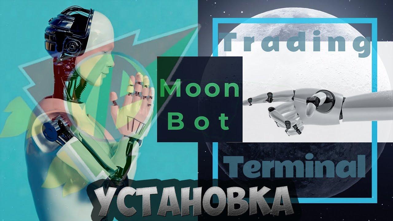 Установка Moonbot на ПК